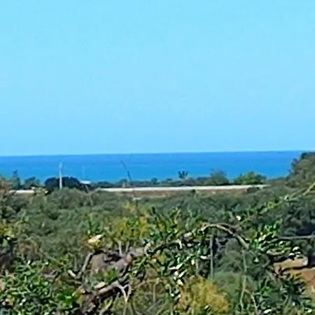 Cupa * פאסאנו