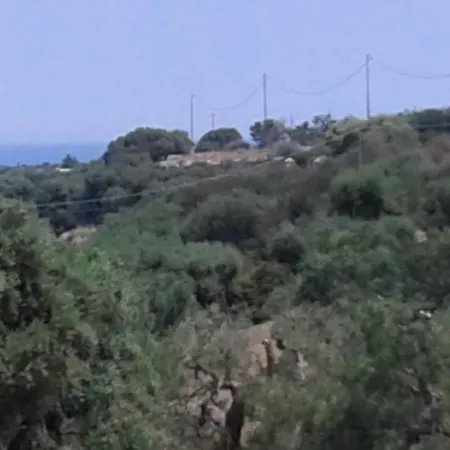 Cupa פאסאנו