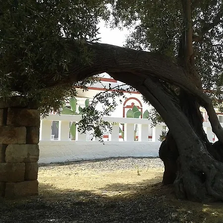 Cupa Bed & Breakfast 3*