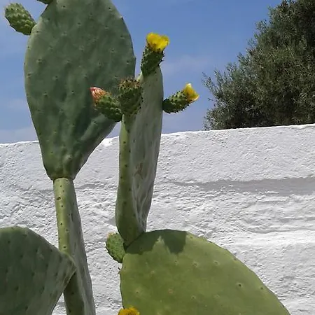 Bed & Breakfast Cupa Fasano